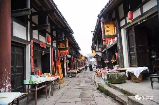 奔跑的兔子